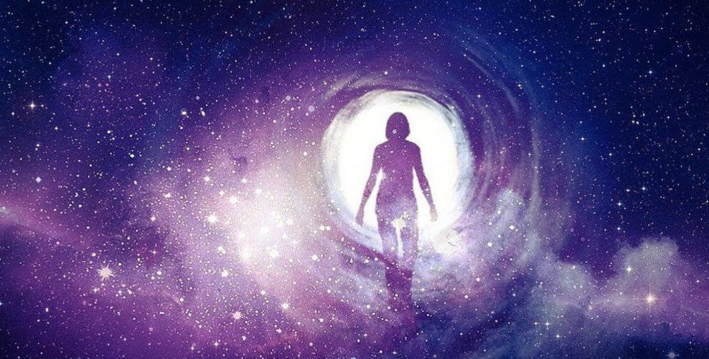 Inițieri in EVOLUȚIE